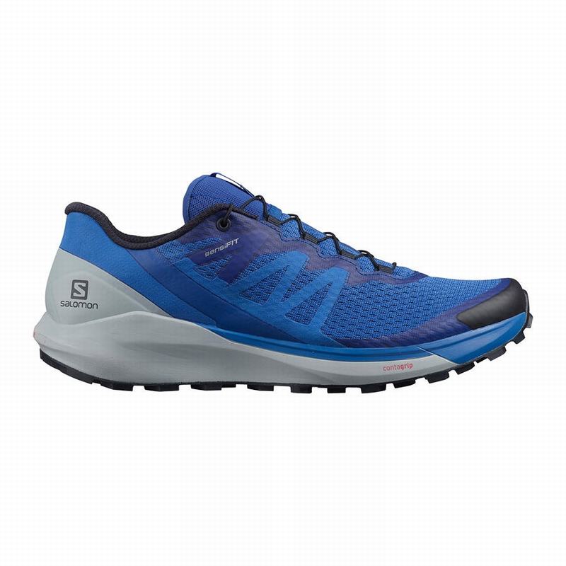 Salomon Singapore Mens Running Shoes - SENSE RIDE 4 Blue | 03294-MPUV